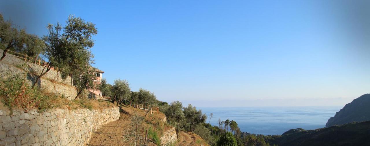 Agriturismo Missanega Monterosso al Mare Bagian luar foto